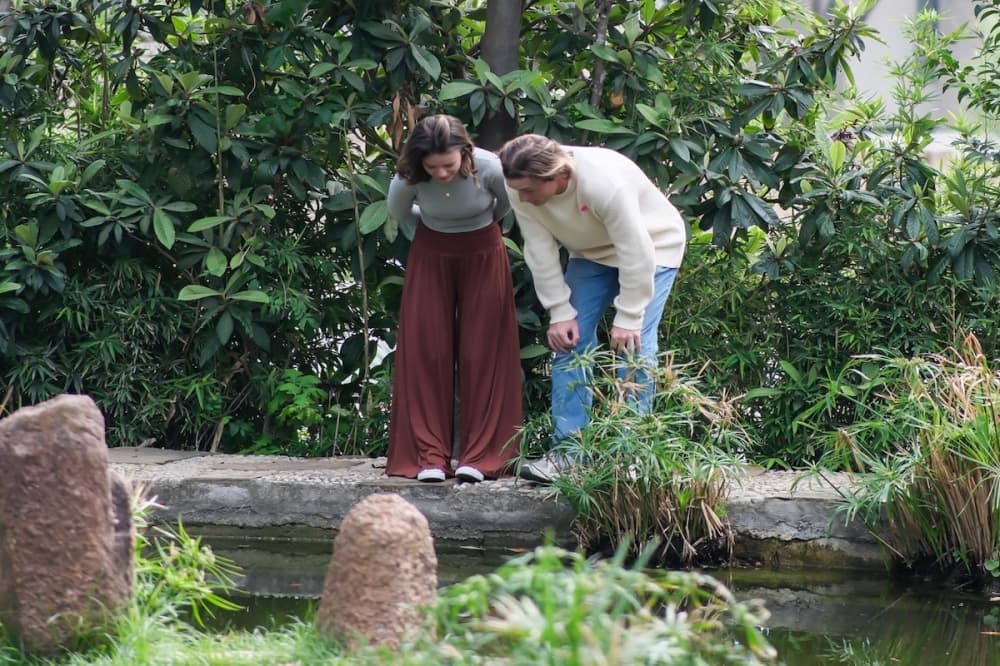 Two women observe plants in a garden outside an art museum.