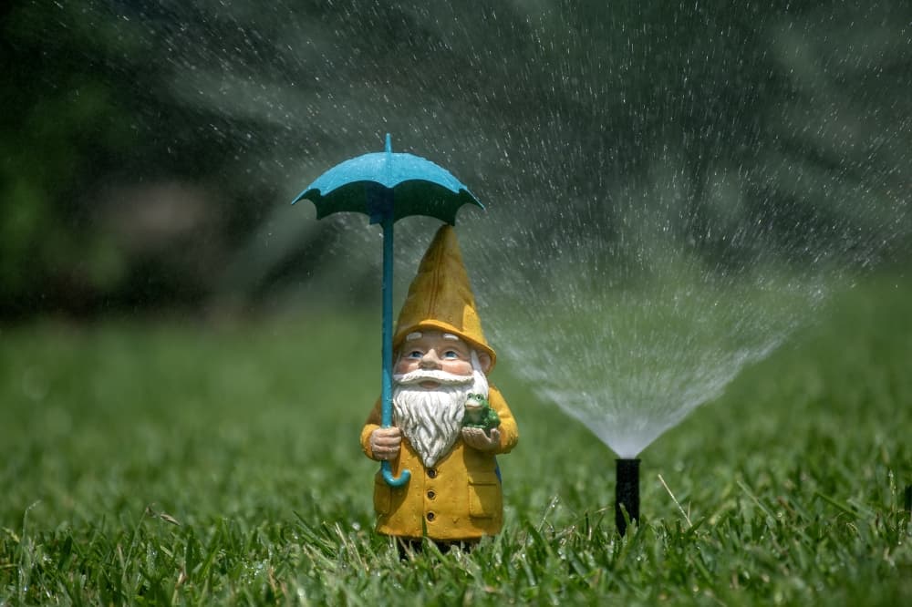 Discover 3 ways to conserve water, better manage utility bills this summer