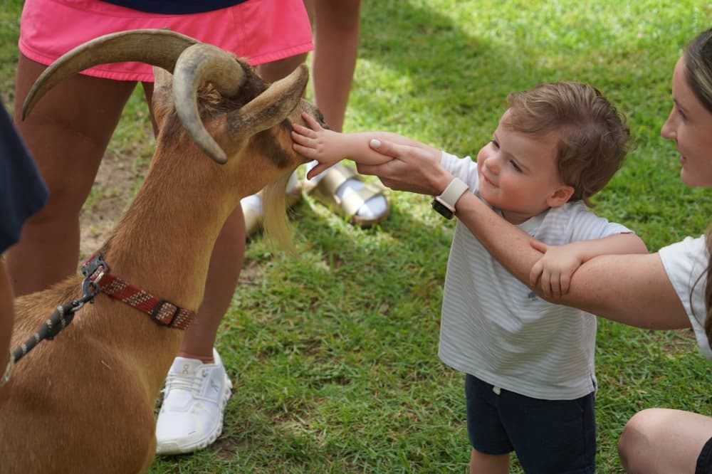 From petting zoos to reading challenges: Service at the heart of Boerne Public Library’s summer programs