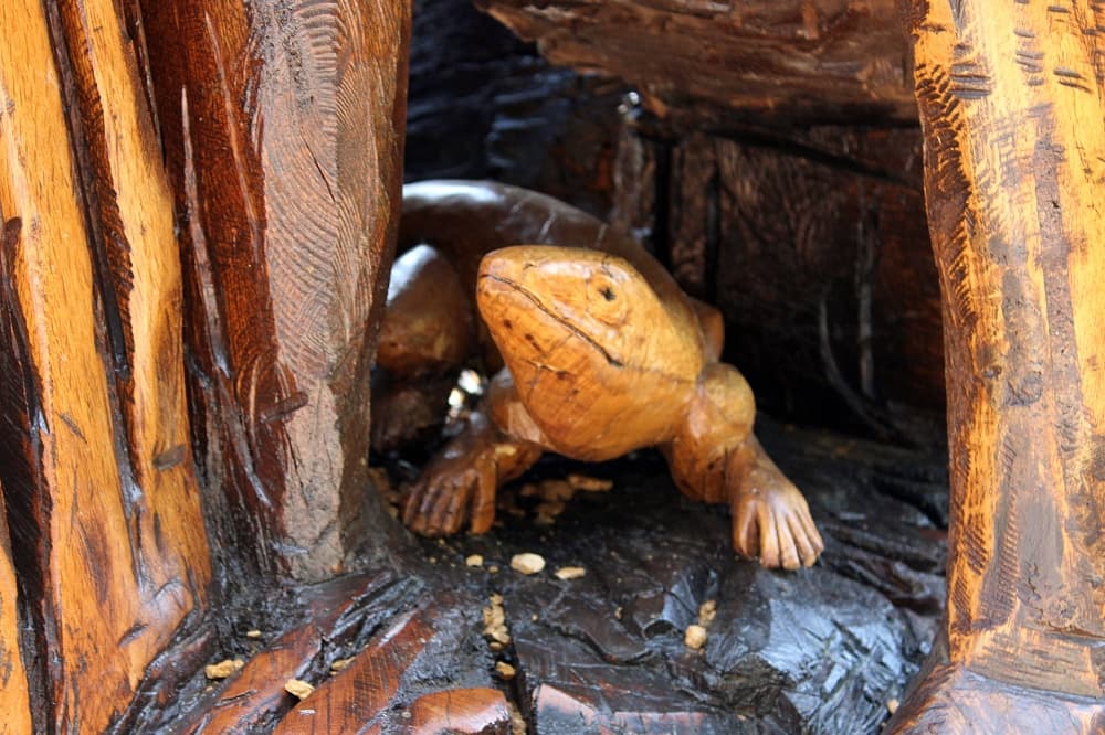 Lizard tucked into a hollow crevice in a larger wooden sculpture. 