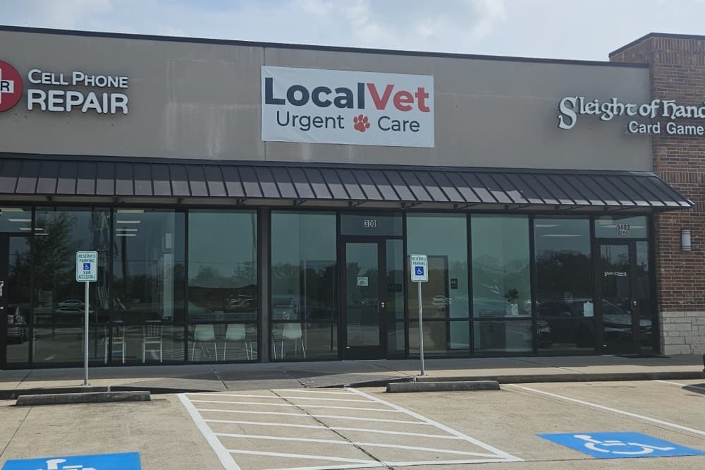 LocalVet Urgent Care now offering after hours pet services in Missouri City