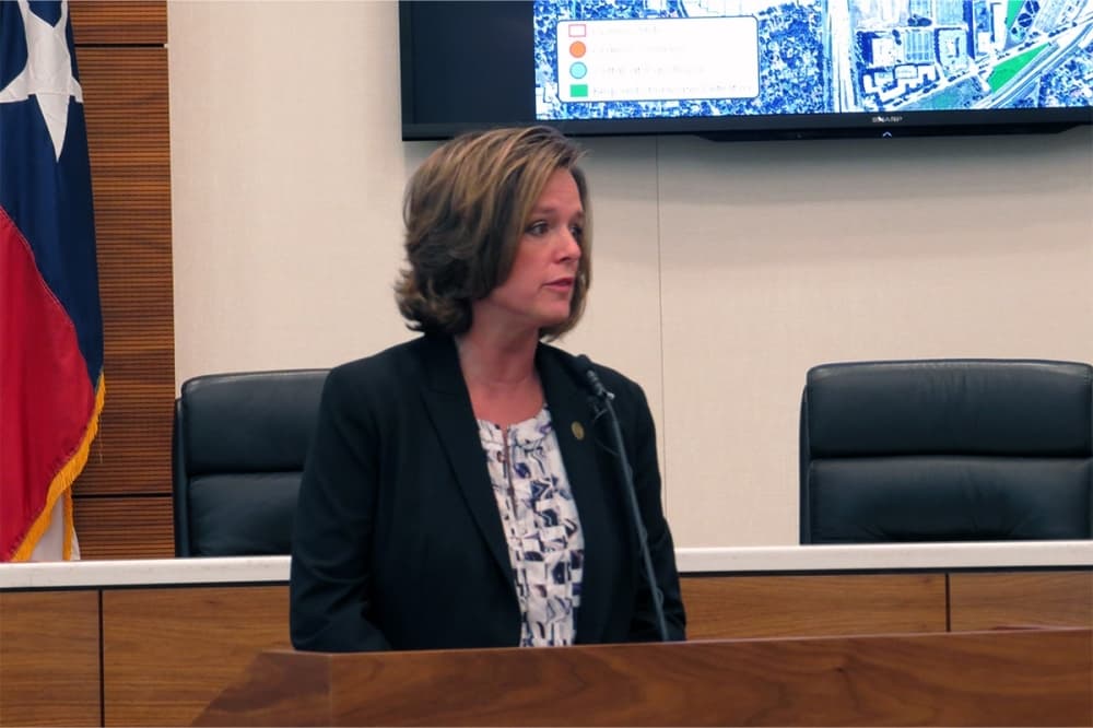 woman speaking at a meeting