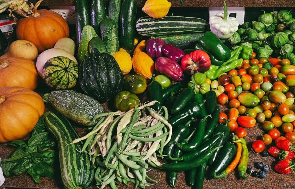 Farmers market, life-sized board games: 8 events in Pearland-Friendswood-Manvel area for August-September