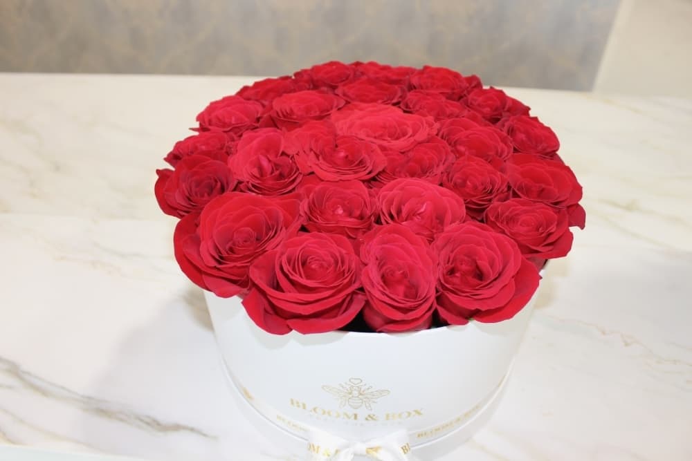 A photo of red roses.