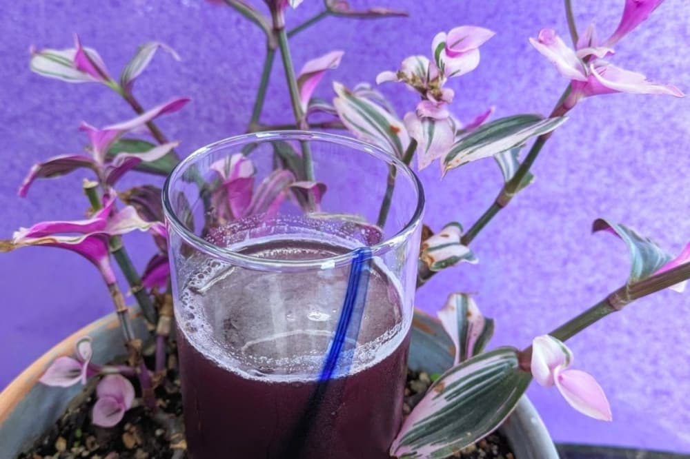 Raised Spirits brings craft cocktails, tastings to Spring