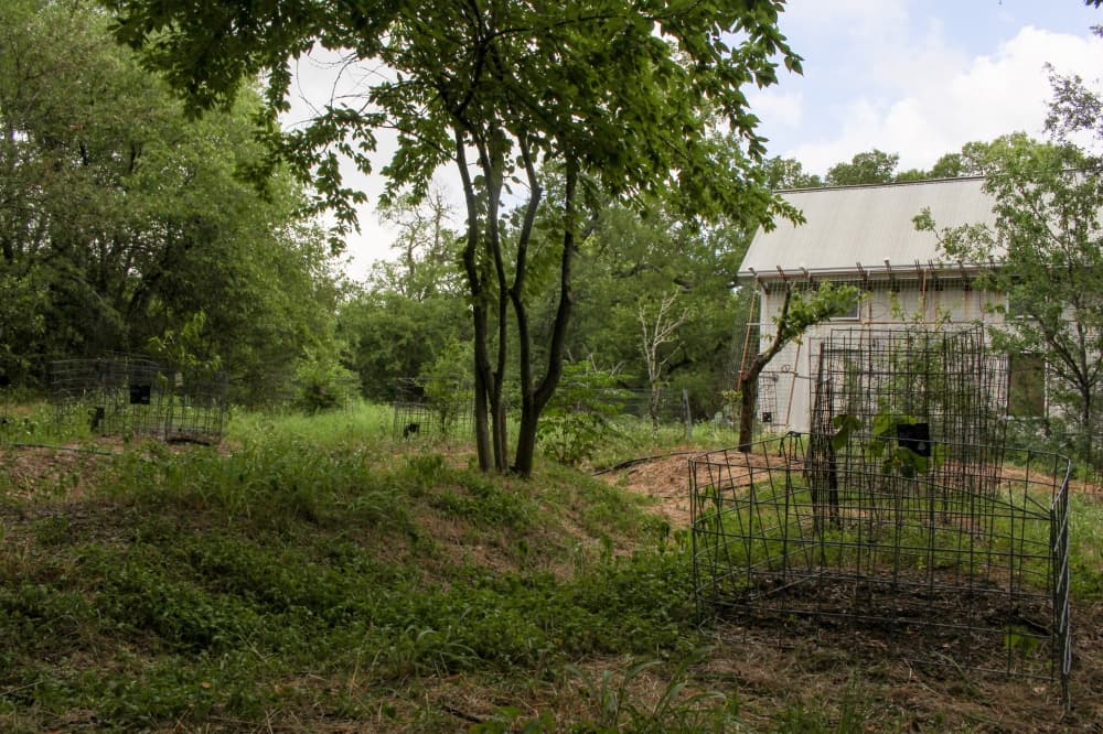 Locals turn to regenerative agriculture in times of drought; how to DIY