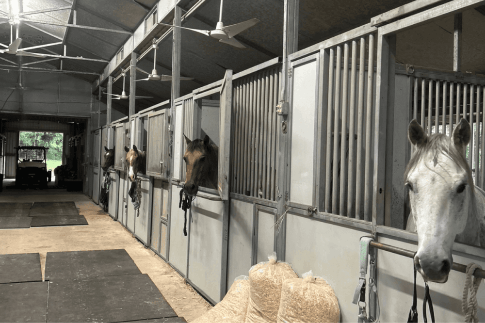 Twisted Trail Ranch opening in Conroe
