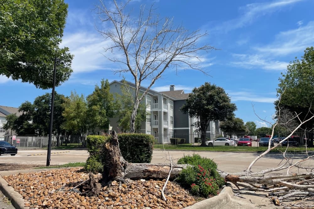 Texas General Land Office launches disaster recovery programs for Fort Bend County homeowners