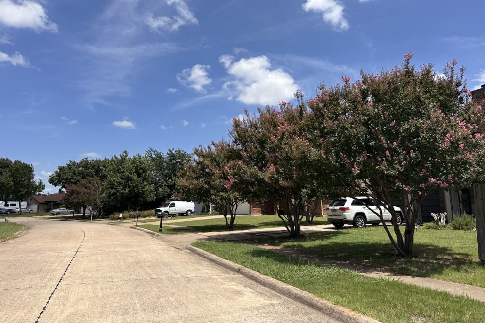 Flower Mound creates tree rebate program