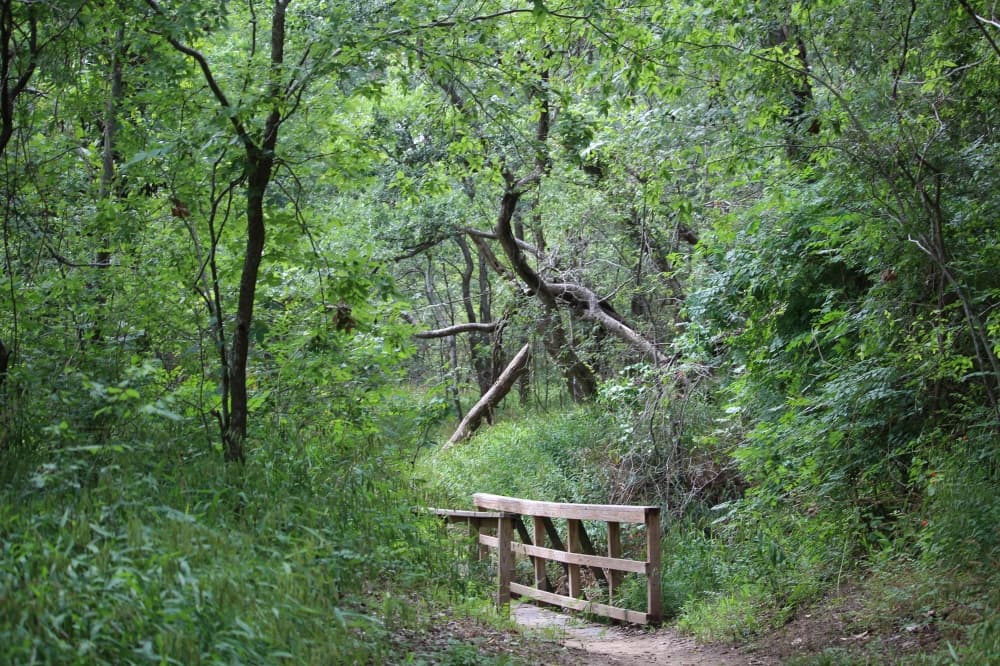 Pines and Prairies Land Trust seeks funding from Bastrop