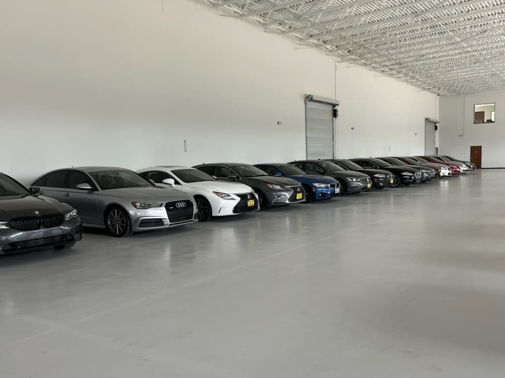 Inside car dealership, line of cars