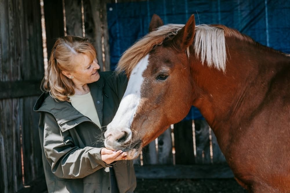 Sophia’s Hope Ranch on the way to Boerne, providing unique therapy options