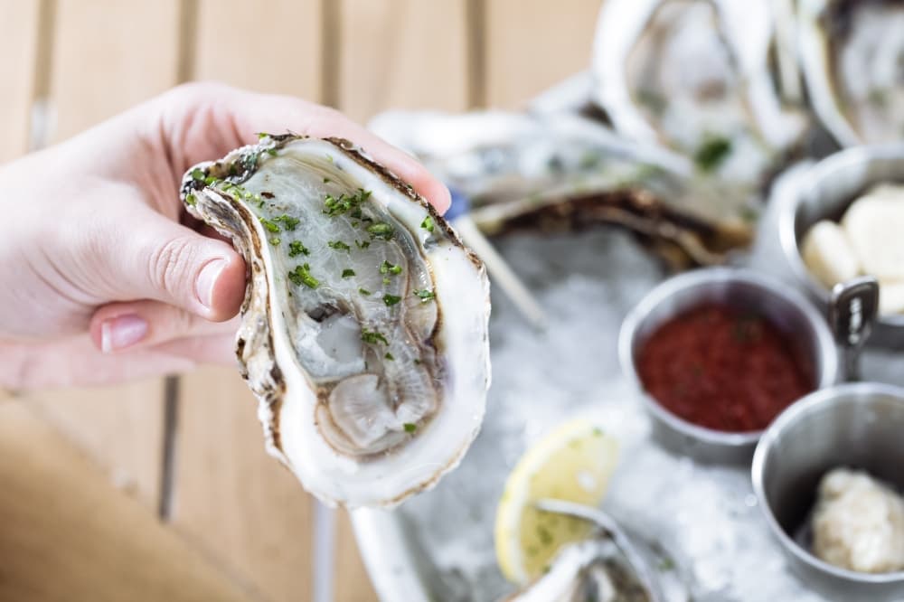 Hudson House offers New England fares, happy hour in Frisco