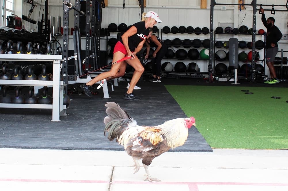 JLAFit Athletics offer sports performance training in Celina