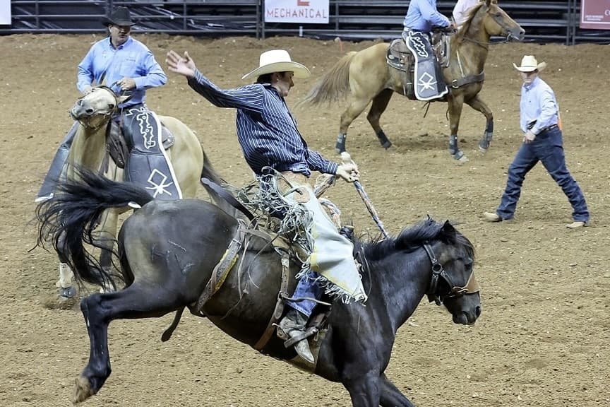 10 events to attend in the Austin area Aug. 8-10: plays, movie screenings, the rodeo and more
