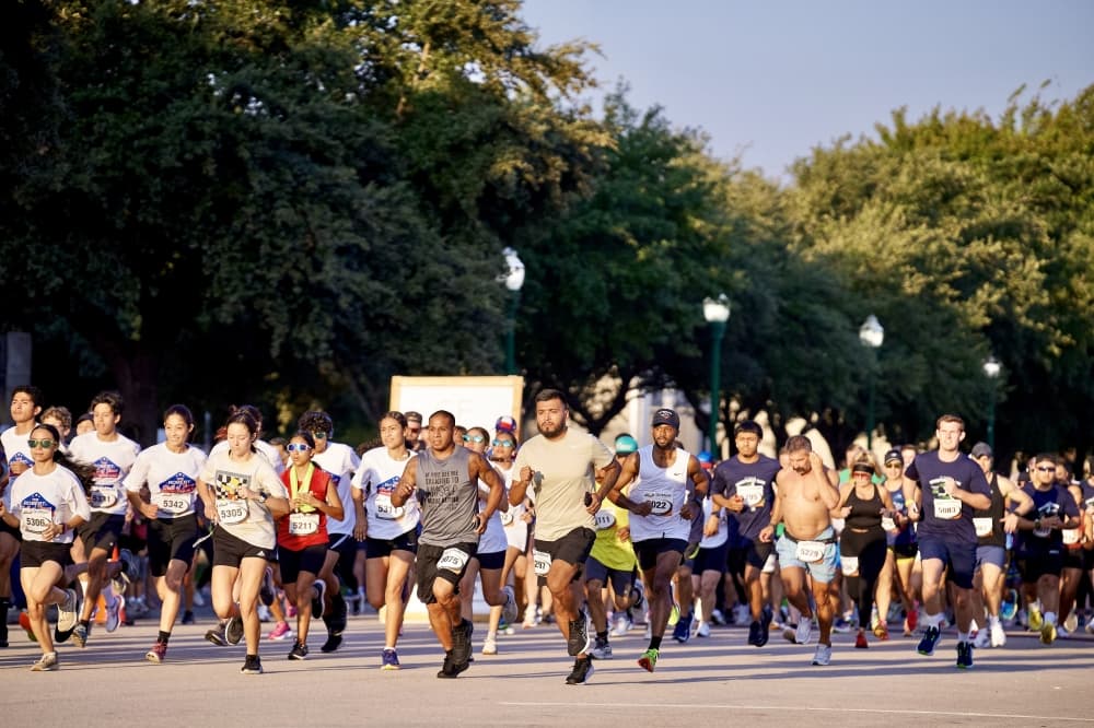 From books to bulls: 6 events in Conroe, Montgomery this weekend, Sept. 19-21