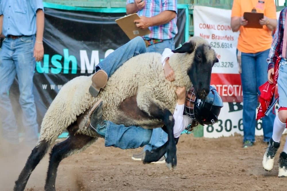 Start the fall season with these 12 events happening in New Braunfels