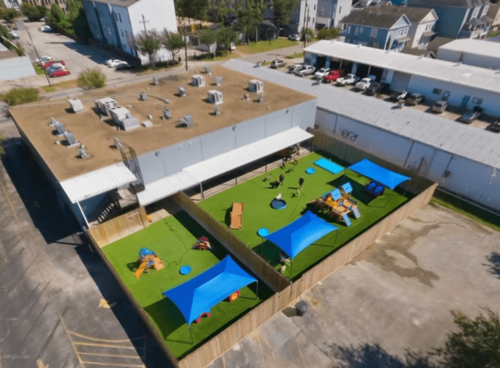 Happy dog relaxing in climate-controlled play area at Wag’n World dog daycare and boarding in The Heights Houston.