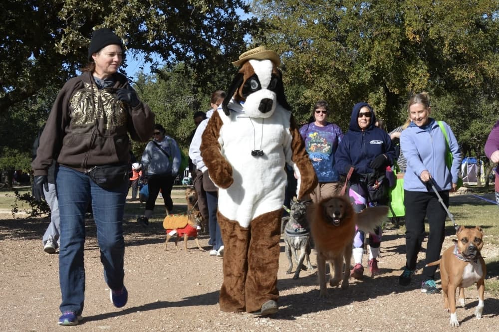 Coming soon: 11 events to attend in Cedar Park in September, October
