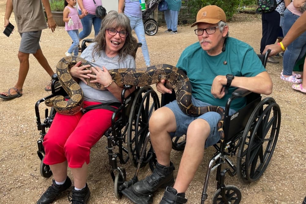 A festival dedicated to snakes, vendor markets and more September Hays County-area events