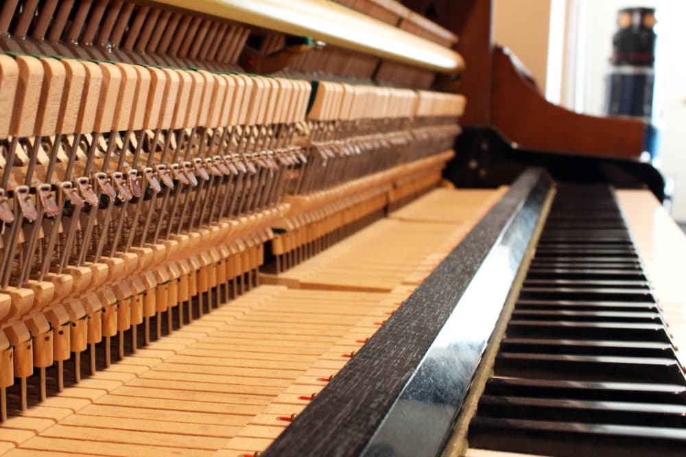Side view of piano keys and inner workings of a piano.