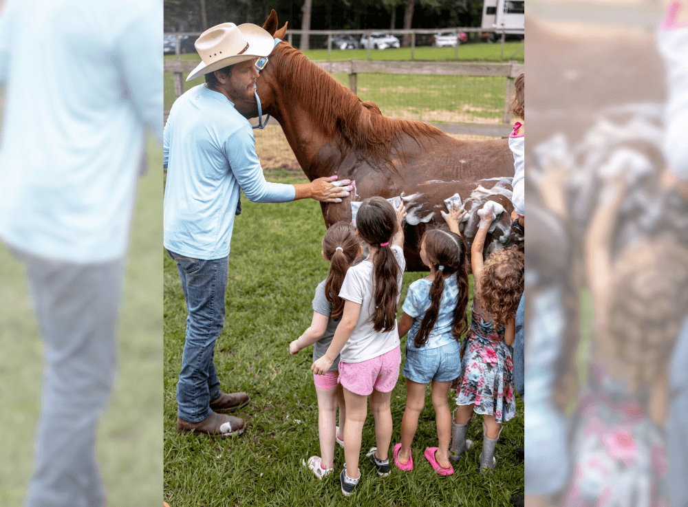 Paint-a-pony day