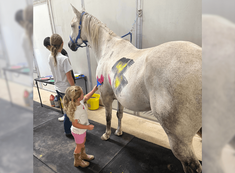 Paint-a-pony day