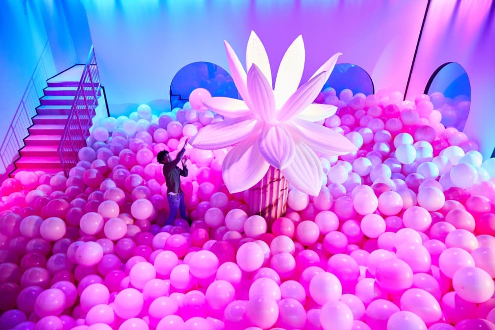 An overview of the bubble ocean room