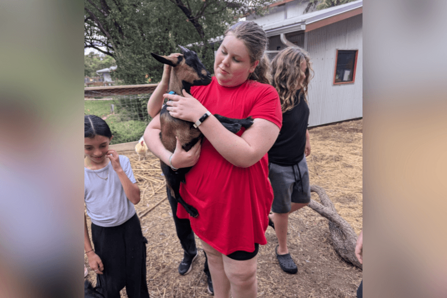 Students from Mariposa Montessori exploring nature on the school’s farmland with farm animals and gardens in the background.