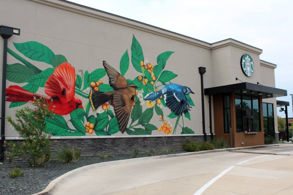 Mural of birds and plants on the wall of a Starbucks drive-thru lane. 