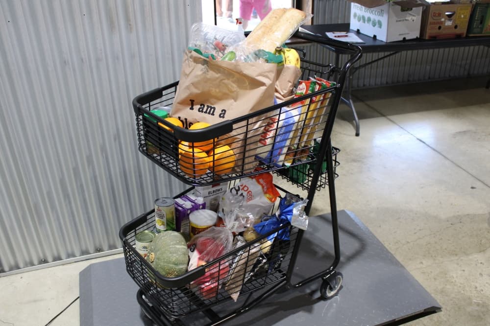 Pictured is a grocery cart full of groceries.
