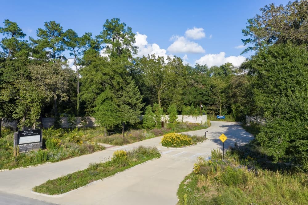 Houston Arboretum receives $90K grant to help restore woodland habitats