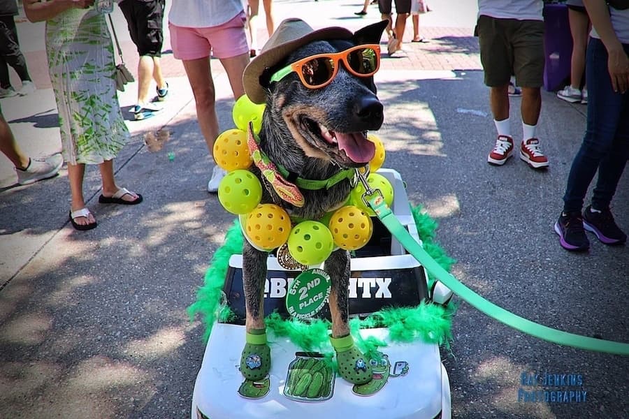 In a Pickle Festival, Tai Chi: 4 Lake Houston-area events this weekend, Sept. 5-7
