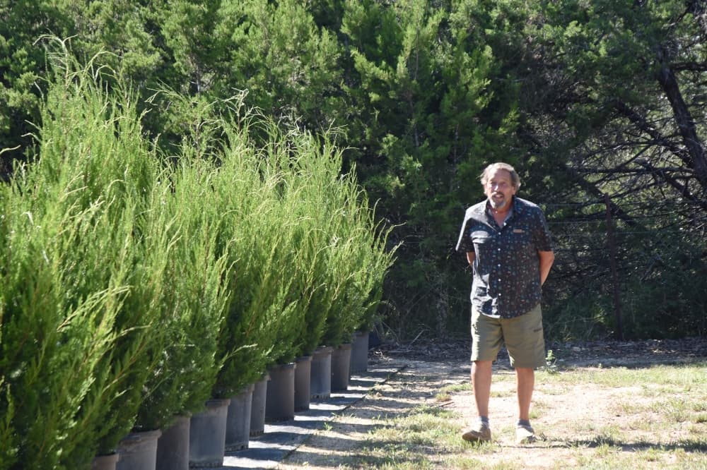 Acorn to tree: LAWNS Tree Farm in Leander provides care and knowledge