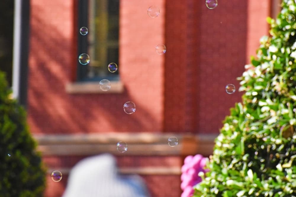 bubbles floating 