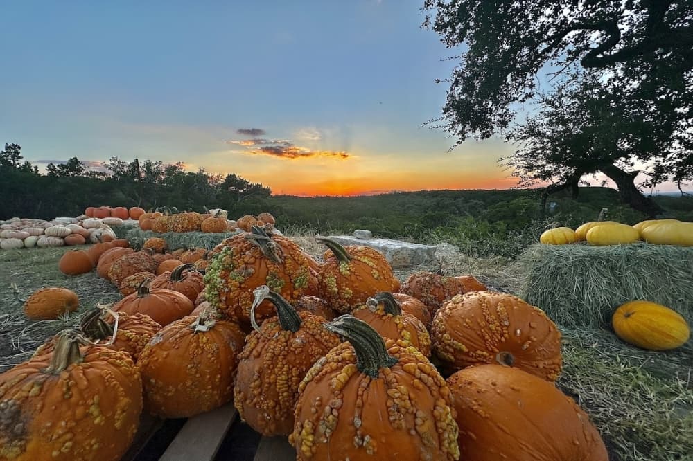 Fall guide: 11 festivals, pumpkin patches and workshops to explore in Boerne this October