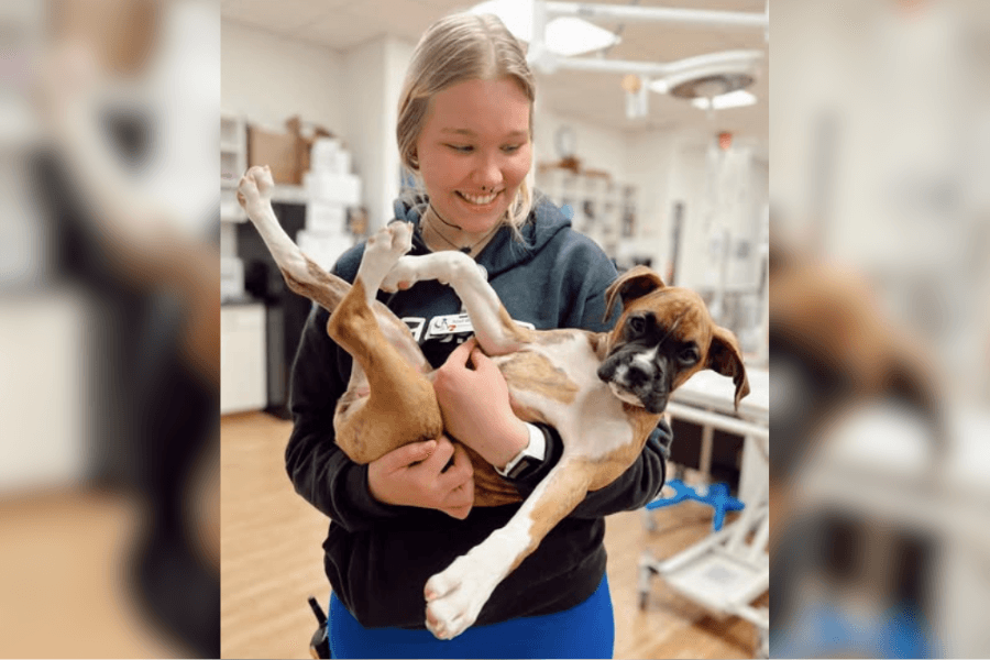 A look inside the 24/7 veterinary clinic that treats pets like family, supports community