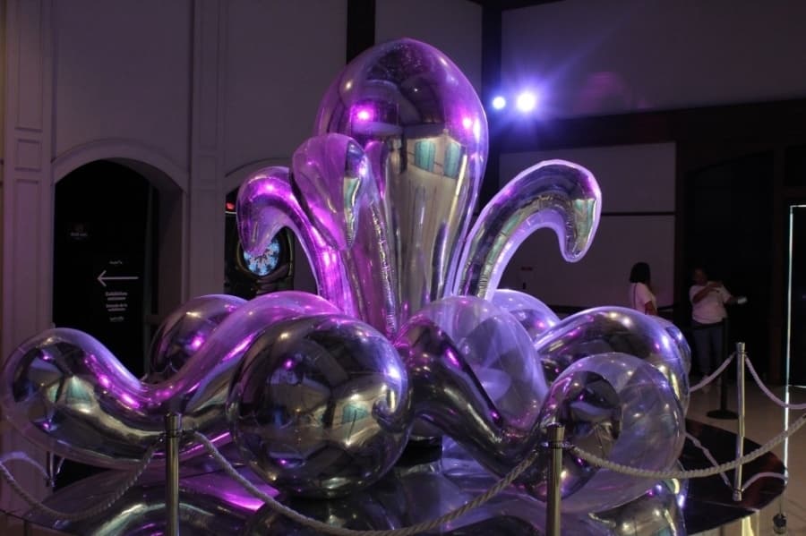 Chocolate, balloons and neon lights: Check out 12 business updates in North Austin