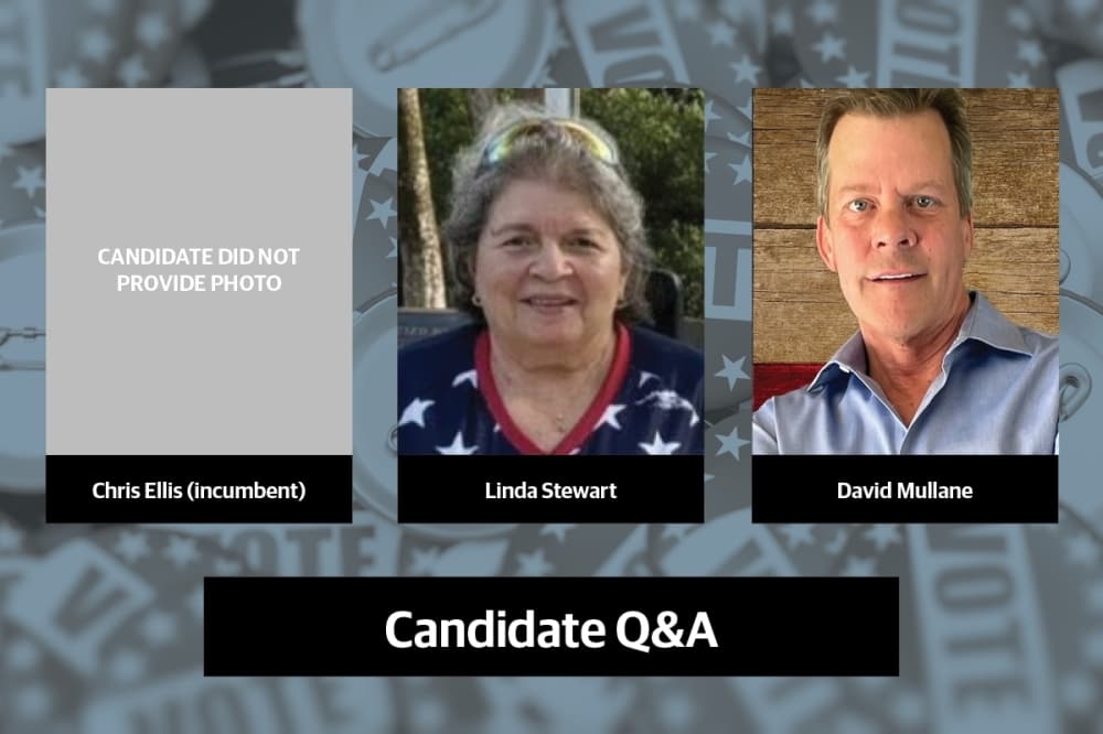 Q&A: Meet the candidates running for Roman Forest City Council Position 2