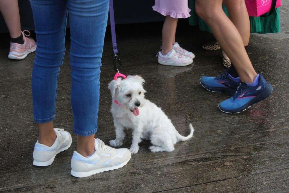 Dog park project faces revisions, delays in New Caney