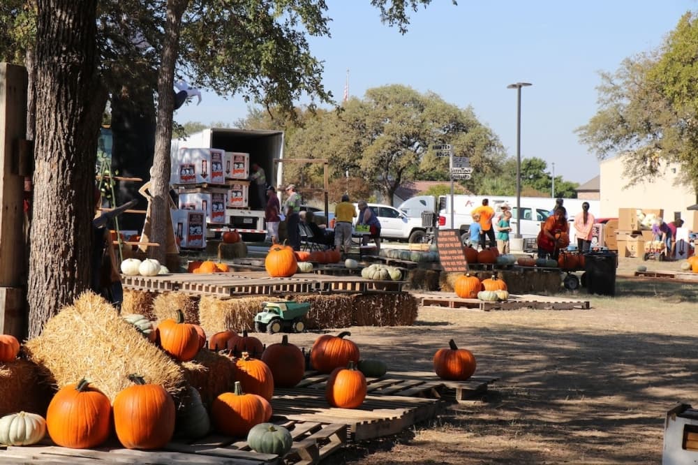 15 events to check out this weekend in and around San Antonio, Oct. 17-19