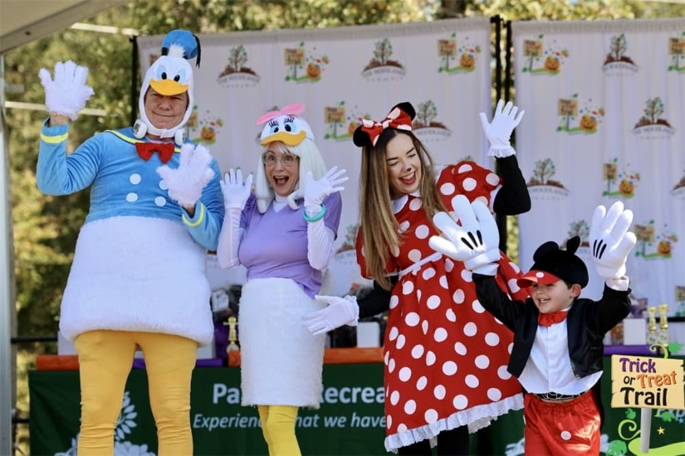 people in Mickey Mouse character costumes