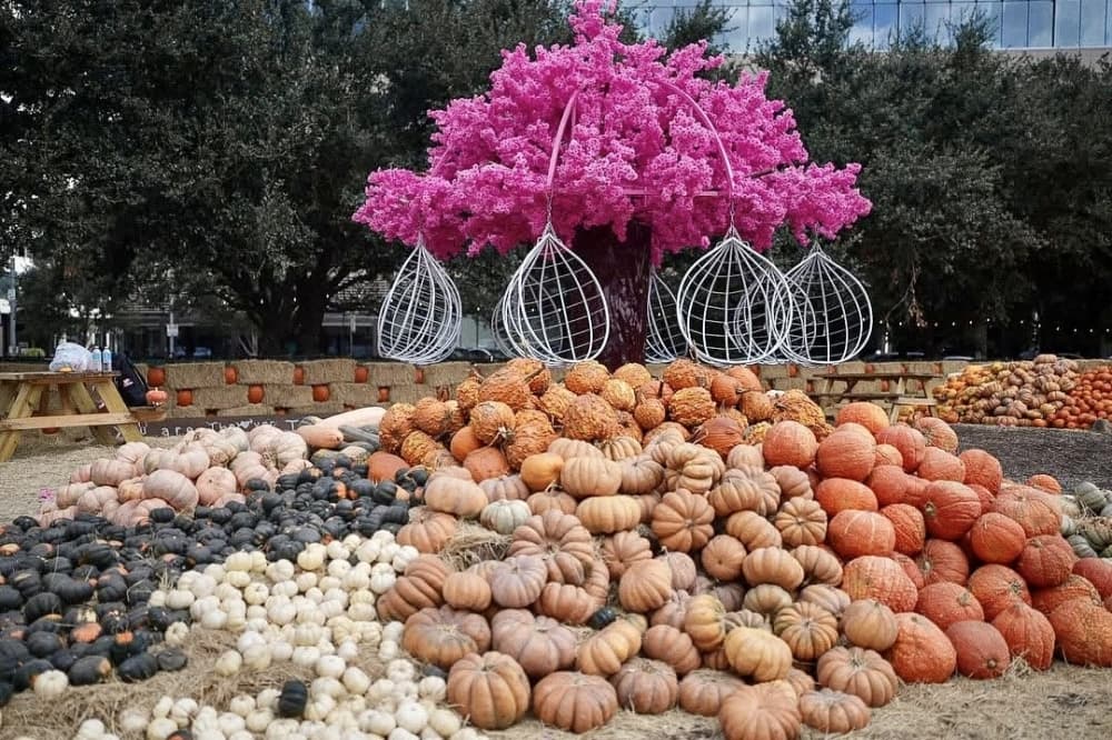8 events happening in the Houston area this weekend, Oct. 3-5