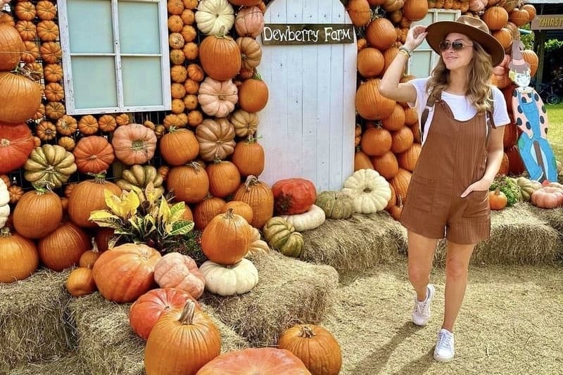 Dewberry Farms bringing fall fun to the Katy-Fulshear area