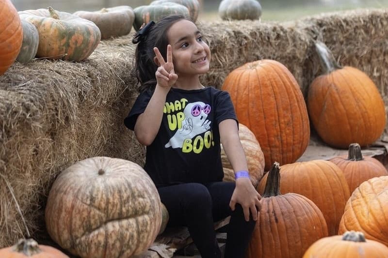 Families can pick a pumpkin from the patch to paint or take home.  (Courtesy Dewberry Farm)