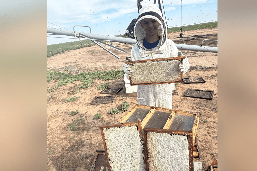 Family-owned Wild Honey Box beekeeping business offering raw honey, hot honey, and natural beeswax skincare in Montgomery, Texas.
