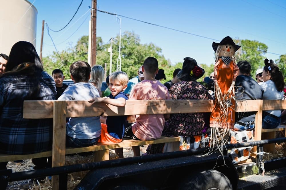 From Halloween happenings to Christmas cheer, check out these fall events in the Bay Area