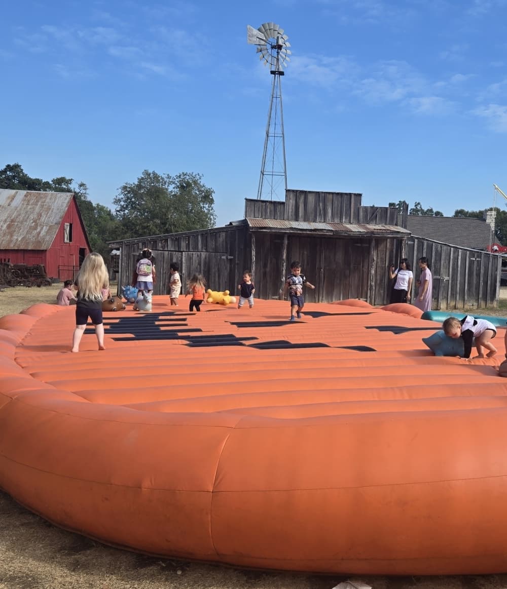 An image of the pumpkin bouncing pad. 