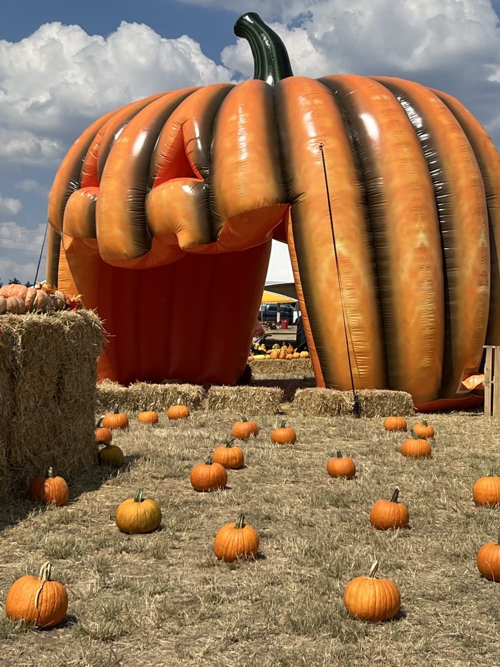 An image of a large pumpkin inflatable. 