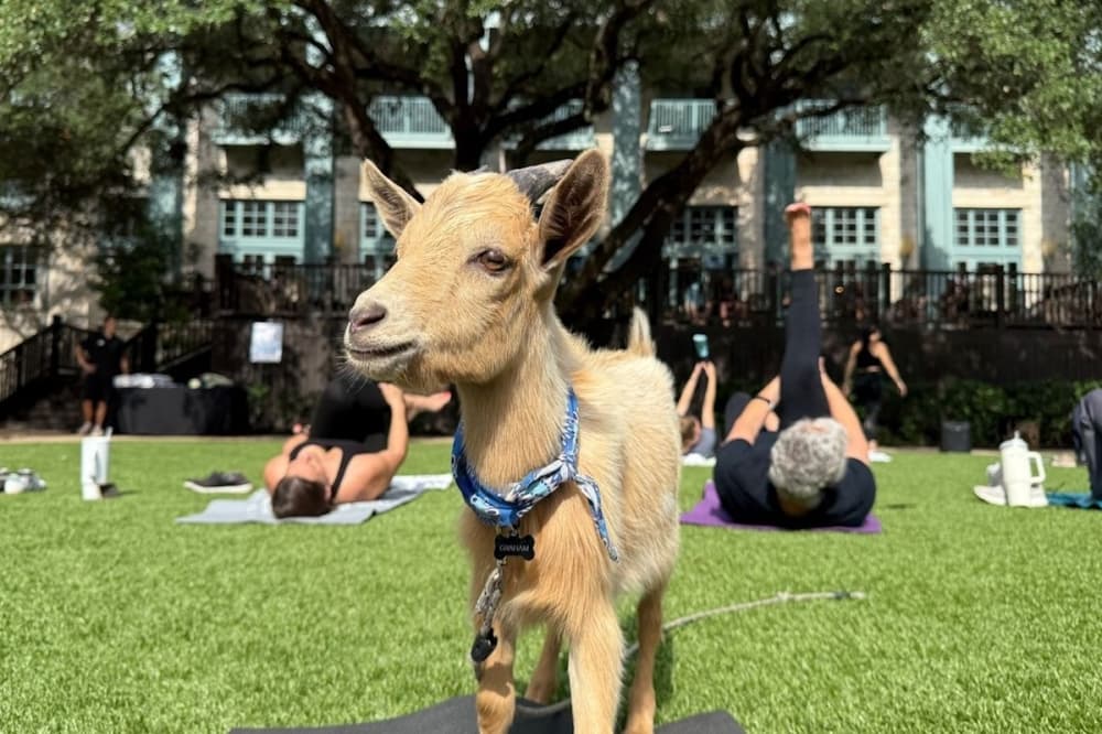 Check out these events in and around San Antonio this weekend, Oct. 10-12